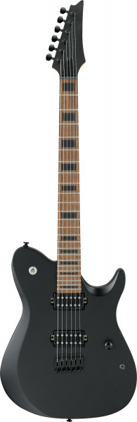 IBANEZ FR Axion Label E-Gitarre 6 String Black FR800-BKF